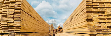 Timber industry